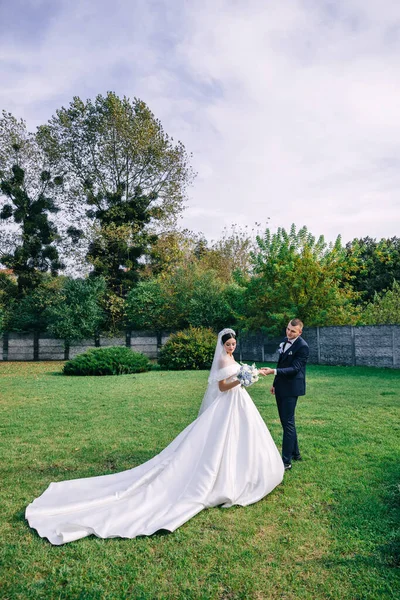 Mavi Takım Elbiseli Şık Bir Damat Beyaz Elbiseli Güzel Bir — Stok fotoğraf