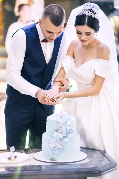 Gelin Damat Mavi Kelebeklerle Süslenmiş Bir Düğün Pastası Kesiyorlar Damat — Stok fotoğraf
