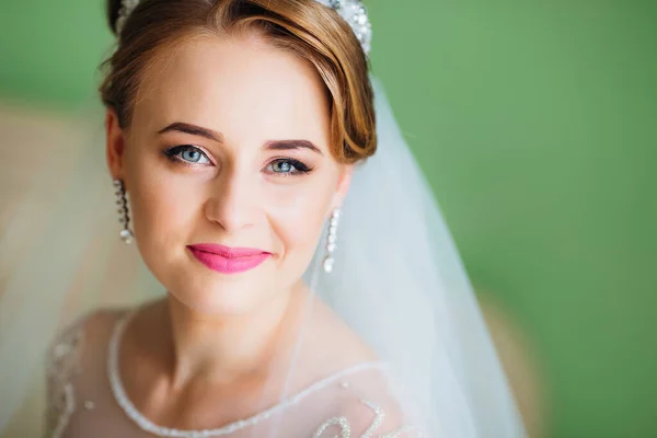 Beautiful Bride Wedding Makeup White Hair Jewelry Diadem — Stock fotografie