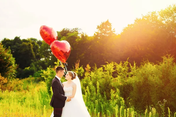 Groom Black Suit Bride Long Veil White Dress Standing Background — Foto de Stock