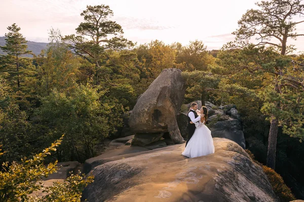 Pareja Novios Enamorados Recién Casados Vestido Blanco Traje Están Caminando —  Fotos de Stock