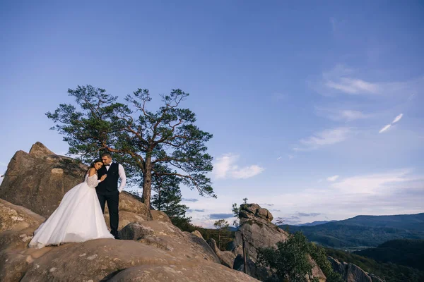 Los Recién Casados Paran Una Roca Abrazándose Disfrutando Del Hermoso —  Fotos de Stock