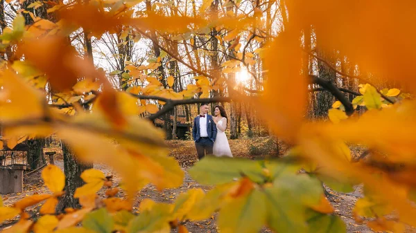 Les Jeunes Mariés Mariés Promènent Dans Parc Automne Premier Plan — Photo