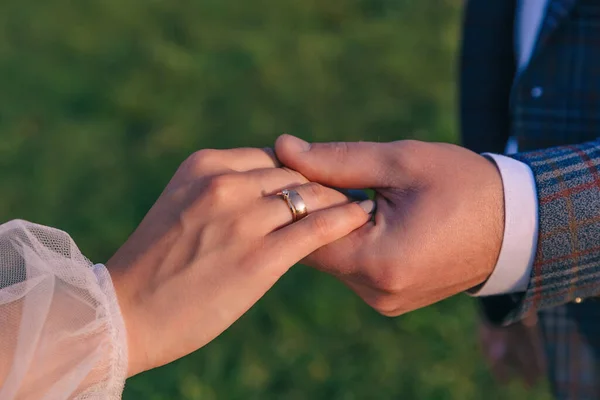 Friss Házasok Gyengéd Érintése Szerelemben Gyönyörű Romantikus Kézfogás Női Kézzel — Stock Fotó