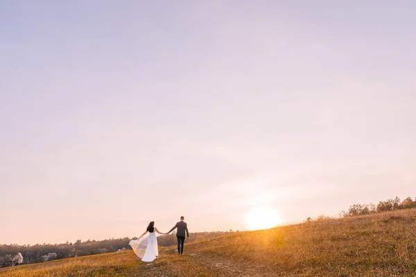Los Recién Casados Emocionales Están Caminando Prado Contra Telón Fondo — Foto de Stock