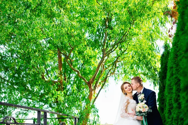 Ein Verliebter Mann Küsst Eine Braut Einem Punkt Einem Park — Stockfoto