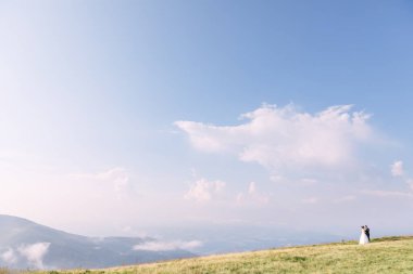 Yeni evliler mavi gökyüzüne karşı sahada sarılıyorlar. Damatla uzun ve güzel bir gelinlik içinde gelin, doğada yaz düğünü..