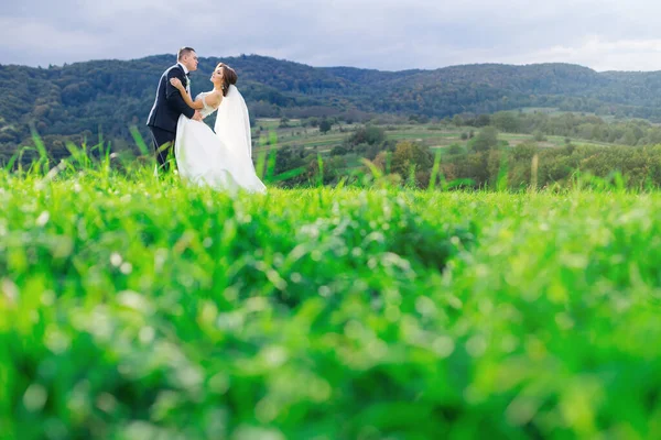 Noiva Feliz Noivo Andando Campo Dia Ensolarado Abraços Recém Casados — Fotografia de Stock