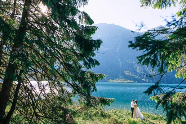 Groom Suit Bride White Dress Stand Shore Lake Mountain Peaks — Stok fotoğraf