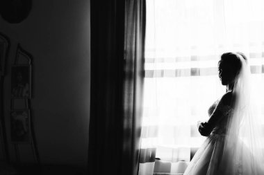silhouetted Luxurious bride in a wedding dress with a long veil in the morning in her interior near the window, waiting for the groom.