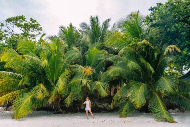 Tropik tatil. Genç bir kadın güzel hindistan cevizi palmiyelerinin manzarasının keyfini çıkarıyor..