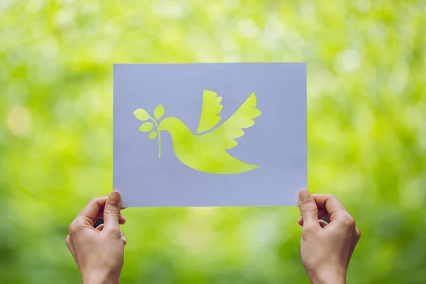 평화의 평화의 상징하는 비둘기 형상이 그려진 페이퍼 보여준다 — 스톡 사진