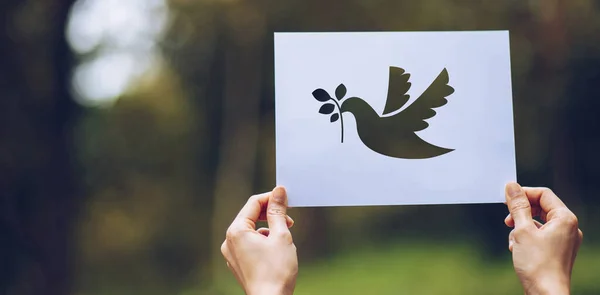 평화의 평화의 상징하는 비둘기 형상이 그려진 페이퍼 보여준다 — 스톡 사진