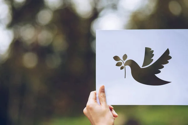 Zeigen Sie Geschnittenes Papier Mit Dem Logo Der Taubenschablone Des — Stockfoto