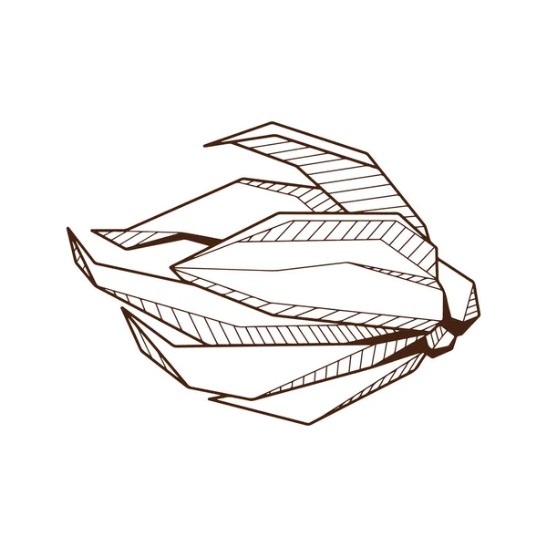 Hand drawind geometrical flower bud, Ylang-Ilang bud line art — Stock Vector
