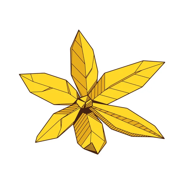 Barevné ručně Drawind geometrické kvetoucí květina, Ylang-Ilang linie umění — Stockový vektor