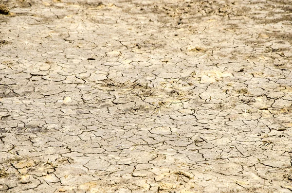 Тріщини глини землі — стокове фото