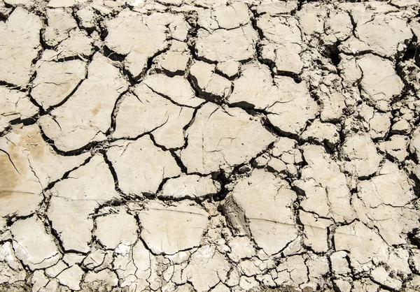 Cracked clay ground — Stock Photo, Image