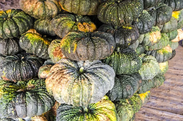 Pile of pumpkins in market — Stock Photo, Image