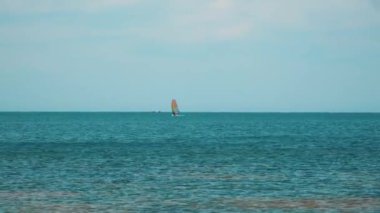 Denizde yelken açan bir rüzgar sörfçüsü