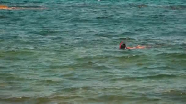 Dziewczyna nurkowanie na powierzchni wody morza — Wideo stockowe