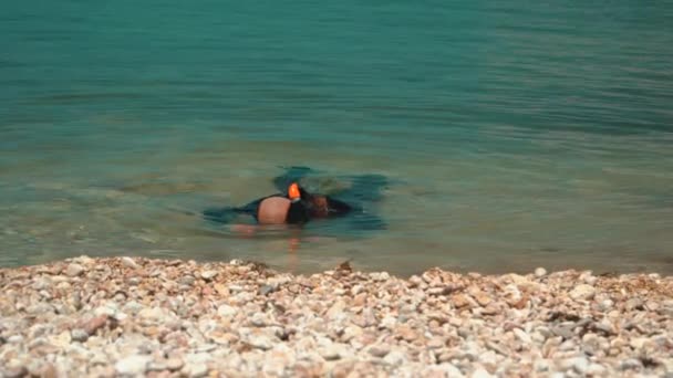 Дайвер у мілководді біля берега шукає щось у воді — стокове відео