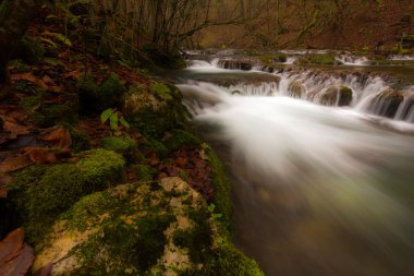 Güzel şelaleler ve Transilvanya dağ dere
