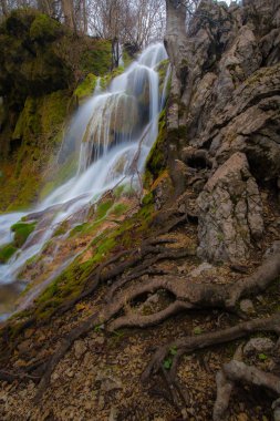 Güzel şelaleler ve Transilvanya dağ dere