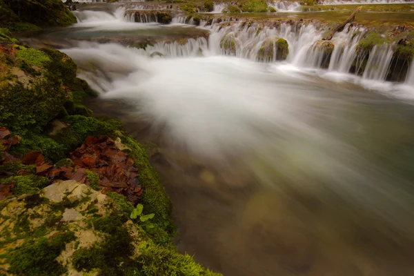 Cachoeiras bonitas e córrego de montanha na Transilvânia — Fotografia de Stock