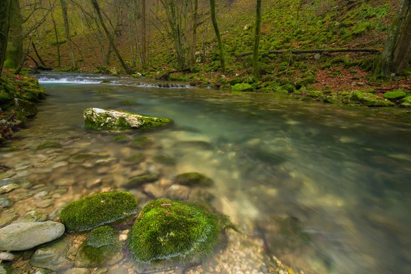 Belles chutes d'eau et ruisseau de montagne en Transylvanie — Photo