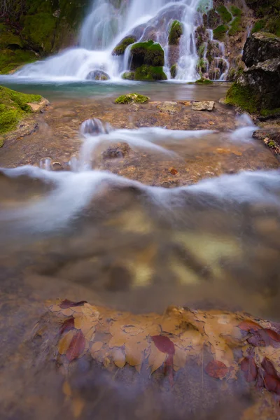 Cachoeiras bonitas e córrego de montanha na Transilvânia — Fotografia de Stock