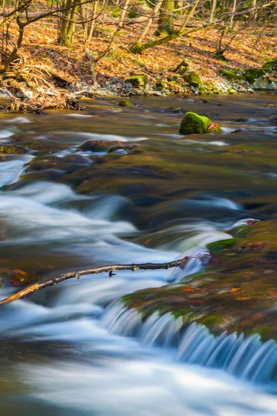 Piękne wodospady i górski potok w Transylwanii — Zdjęcie stockowe