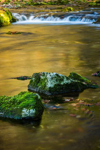 Hermosas cascadas y arroyo de montaña en Transilvania — Foto de Stock