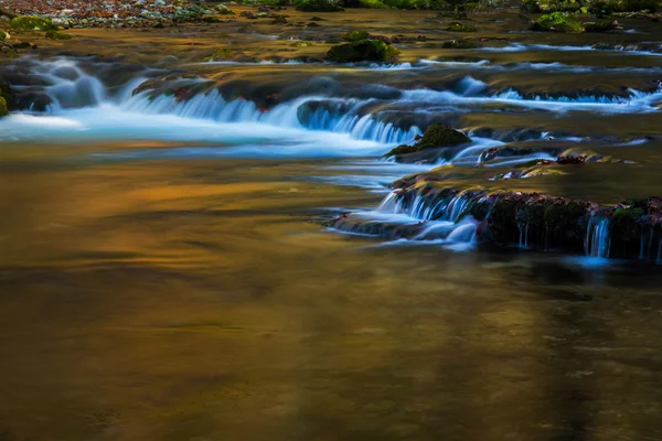 Hermosas cascadas y arroyo de montaña en Transilvania — Foto de Stock