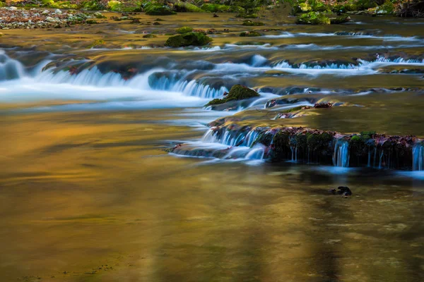 Belles chutes d'eau et ruisseau de montagne en Transylvanie — Photo