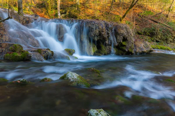 Krásné vodopády a horské bystřiny v Transylvánii — Stock fotografie