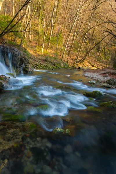 Krásné vodopády a horské bystřiny v Transylvánii — Stock fotografie