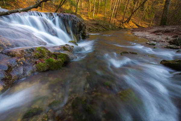 Krásné vodopády a horské bystřiny v Transylvánii — Stock fotografie