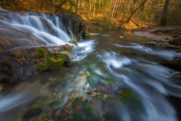 Krásné vodopády a horské bystřiny v Transylvánii — Stock fotografie