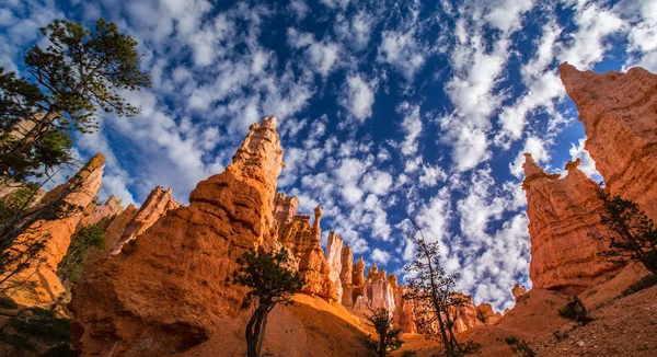 Bryce Canyon τοπίο, διατομής στο βαθύ μπλε του ουρανού — Φωτογραφία Αρχείου