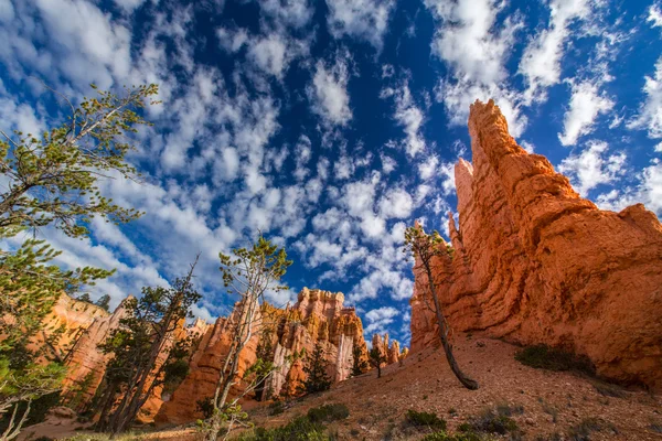 Bryce Canyon τοπίο, διατομής στο βαθύ μπλε του ουρανού — Φωτογραφία Αρχείου