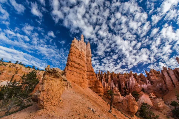 Bryce Canyon táj, mélykék ég profilozott — Stock Fotó