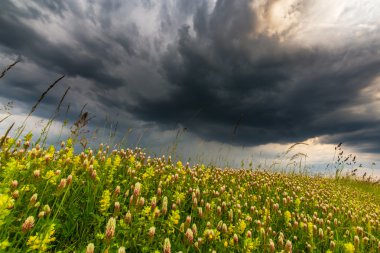 fırtına bulutları ile kırsal manzara