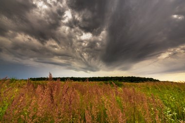 fırtına bulutları ile kırsal manzara