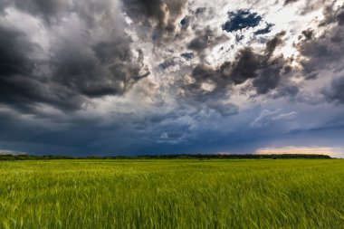 fırtına bulutları ile kırsal manzara