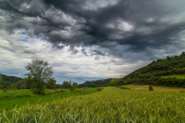 fırtına bulutları ile kırsal manzara