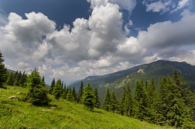 Transilvanya Alpleri'nde güzel dağ manzarası