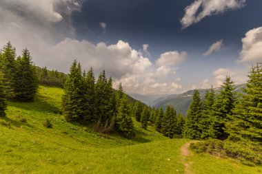 Transilvanya Alpleri'nde güzel dağ manzarası