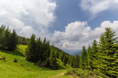 Transilvanya Alpleri'nde güzel dağ manzarası
