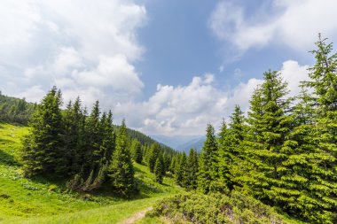 Transilvanya Alpleri'nde güzel dağ manzarası